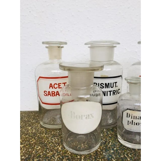 1920s Vintage German Pharmacy Glass Set, 1920s, Set of 5 For Sale - Image 5 of 7