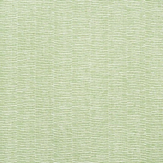 Sample - Schumacher Promenade Indoor & Outdoor Fabric in Leaf For Sale