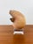 Vintage Brown & White Sea Snail Sea Shell on Lucite Base For Sale - Image 4 of 6