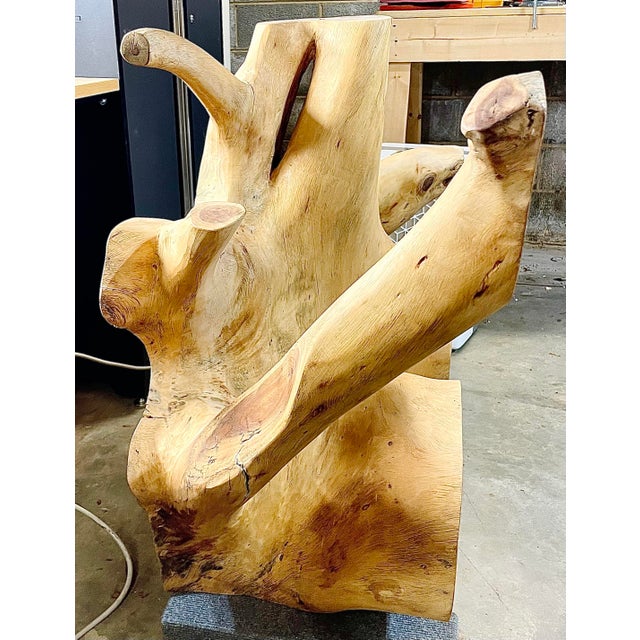 Late 19th Century Beautiful Monkey Pod Root Slab/Table For Sale - Image 5 of 8