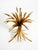 Mid-Century Gilded Floral Side Table with Glass Top by Hans Kögl, 1960s For Sale - Image 16 of 18