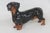 English Royal Doulton Porcelain Hn1128 Dachshund Dog Figurine 4700b For Sale - Image 3 of 14