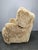 Art Deco Wingback Armchair in Honey Skandilock Sheepskin, 1930s For Sale - Image 9 of 11