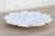 Artisan Carved Marble Flower Plate For Sale In Los Angeles - Image 6 of 8