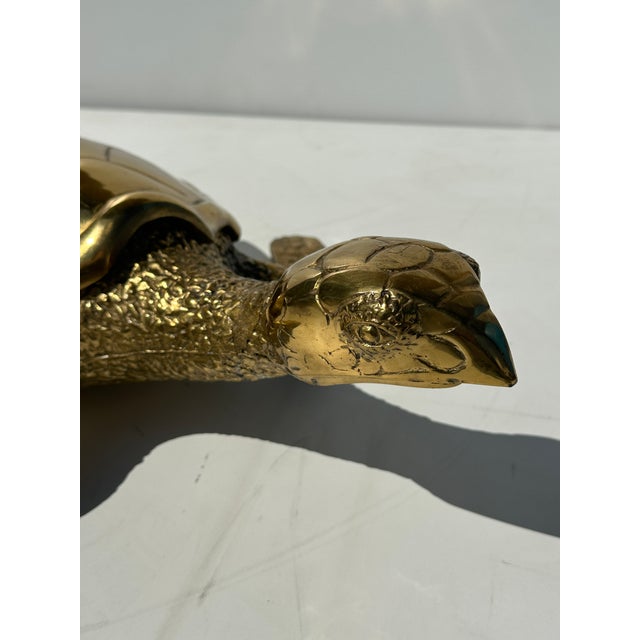 1970s Large Brass Turtle Hawksbill Sculpture Box For Sale - Image 10 of 12