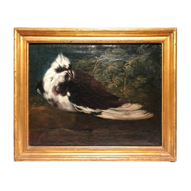 Domenico Guidobono (Savona, Italy, 1668 – Naples, Italy, 1746) Title: Living nature with pigeon Medium: Oil on canvas...