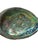 Late 20th Century Vintage Iridescent Large Abalone Shell For Sale - Image 5 of 10