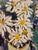 David Burliuk - Vibrant Floral Still Life in Vase– 1950s Oil Painting For Sale - Image 9 of 13