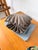 Vintage Brutalist Box in Wood and Seashell, 1960s For Sale - Image 10 of 18