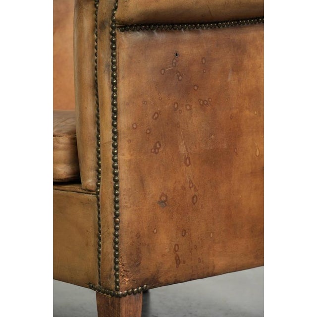 Sheepskin Club Armchair Light Cognac with Decorative Nails For Sale - Image 13 of 14
