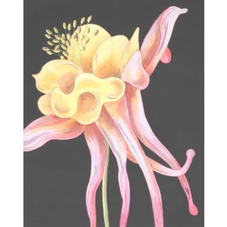 "Columbine" Yellow Wildflower Painting by Allison Cosmos For Sale