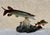 Light Slush Pike Chasing Perch For Sale - Image 13 of 13