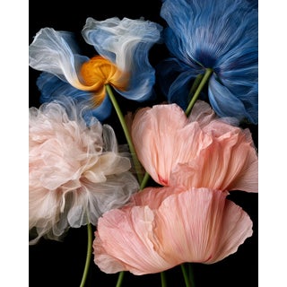 Azure & Blush Contemporary Photograph For Sale