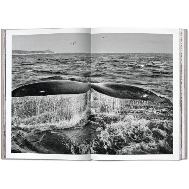 Paper "Genesis" by Sebastião Salgado Photography Collection Autographed Collector's Edition with Book Stand For Sale - Image 7 of 13