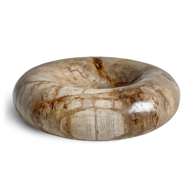 Early 21st Century Vintage Organic Modern Petrified Wood Decorative Bowl For Sale - Image 5 of 7