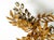 Large Gold-Plated Floral Wisteria Ceiling Lamp by Hans Kögl, 1970s For Sale - Image 10 of 18