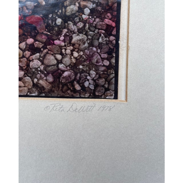 Realism 1978 Rita DeWitt Cahaba Watermelon Color Photograph For Sale - Image 3 of 5
