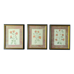 Set of 3 Original Botanical Watercolor With Marble Paper Matting - Apricot Drift Roses