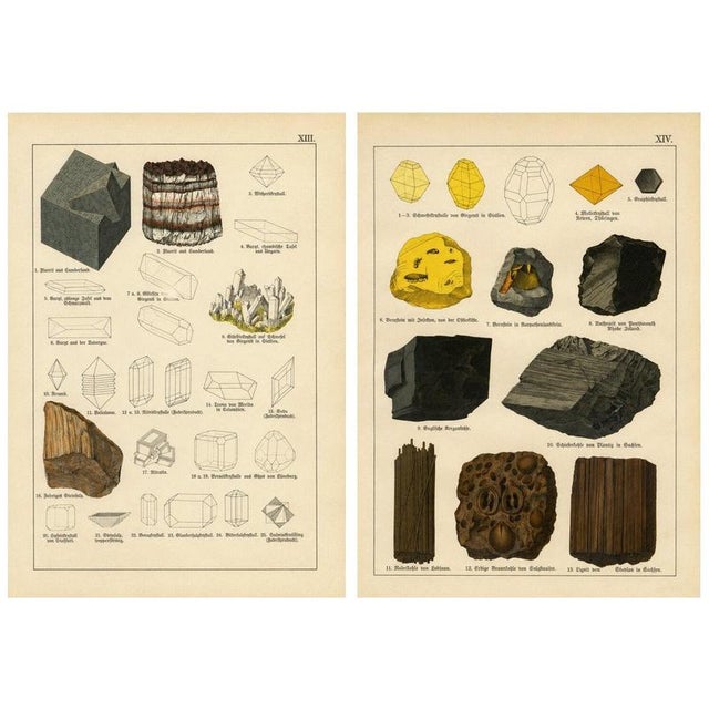 Kenngott, Set of Two Mineralogy Chromolithographs, Fluorite, Amber & Coal, 1888, Paper For Sale - Image 10 of 10