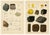 Kenngott, Set of Two Mineralogy Chromolithographs, Fluorite, Amber & Coal, 1888, Paper For Sale - Image 10 of 10