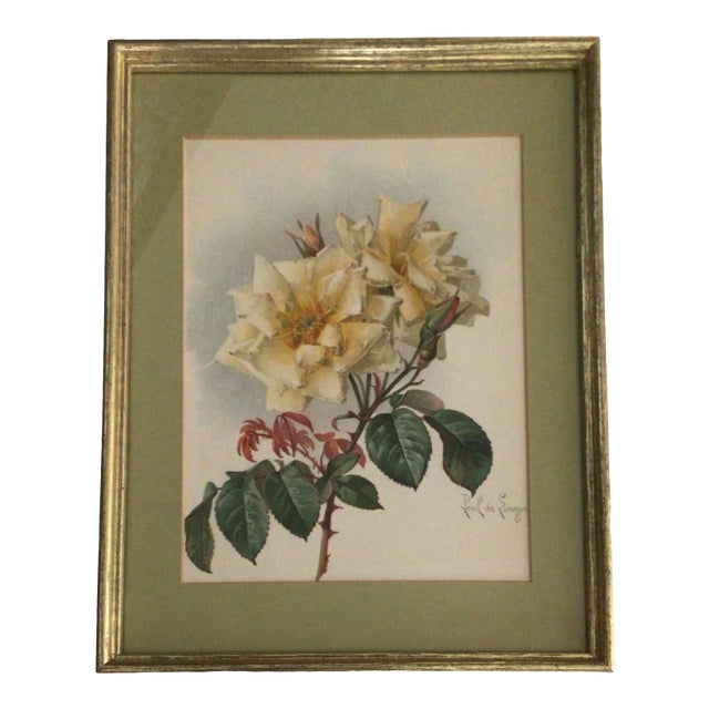 1905 Framed Paul De Longpre Yellow Roses Lithograph Printed by the Grey Litho. Company, New York For Sale