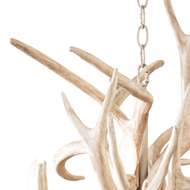 Contemporary Waylon Antler Chandelier For Sale - Image 3 of 8