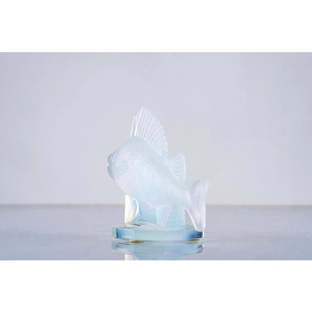 René Lalique Opalescent Crystal Perche Fish Mascot or Paperweight by René Lalique, France For Sale - Image 4 of 6