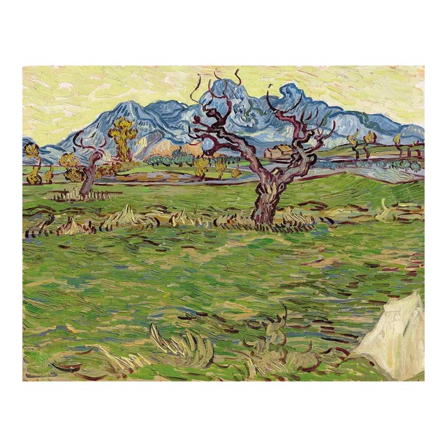 Van Gogh Champs Pres Des Alpilles Limited Edition Giclee For Sale