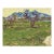 Van Gogh Champs Pres Des Alpilles Limited Edition Giclee For Sale