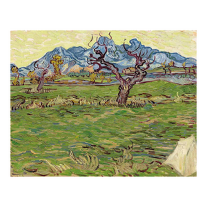 Van Gogh Champs Pres Des Alpilles Limited Edition Giclee
