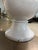 Botanical Mix Floor Orchid For Sale In Dallas - Image 6 of 7