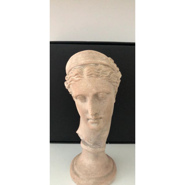 Neoclassical Late 20th Century Grecian Diana Bust For Sale - Image 3 of 12