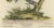 Seligmann, Regal Golden Thrush Perched, 1749, Print For Sale - Image 3 of 7