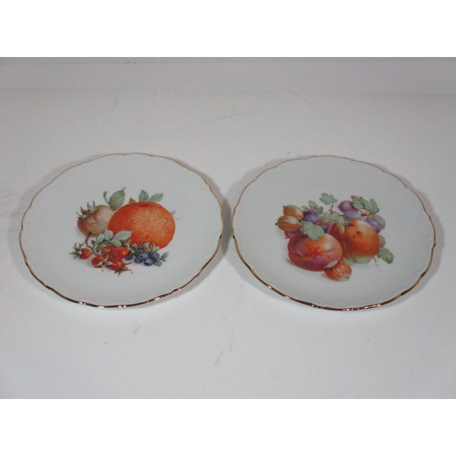 1950s Assorted Bavarian Fruit Plates - Set of 8 For Sale - Image 4 of 9