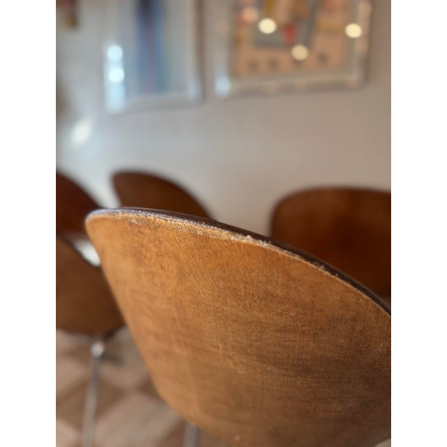 Brown A Set of 8 Mid Century Modern Italian “Medea” Chairs, Designed by Vittorio Nobili for F.lli Tagliabue, Circa 1950s. Not Markd. For Sale - Image 8 of 12