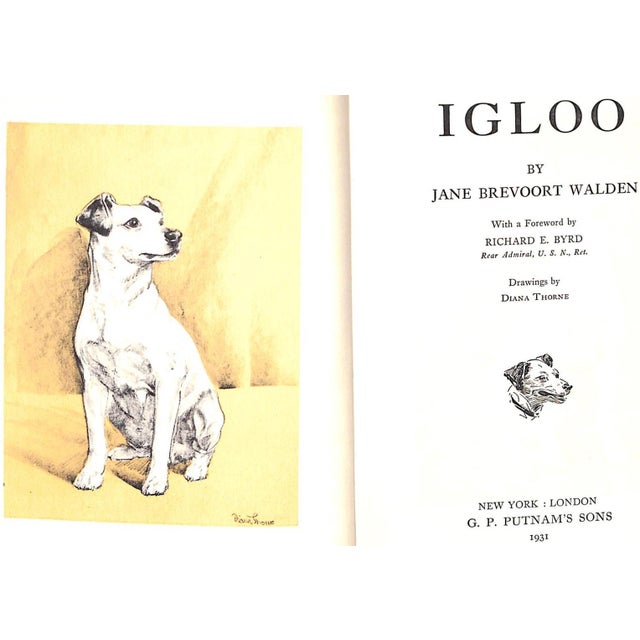 Traditional "Igloo" 1931 Walden, Jane Brevoort For Sale - Image 3 of 12