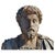 Unknown Artist, Bust of Marcus Aurelius, 21th Century, Terracotta For Sale - Image 6 of 6