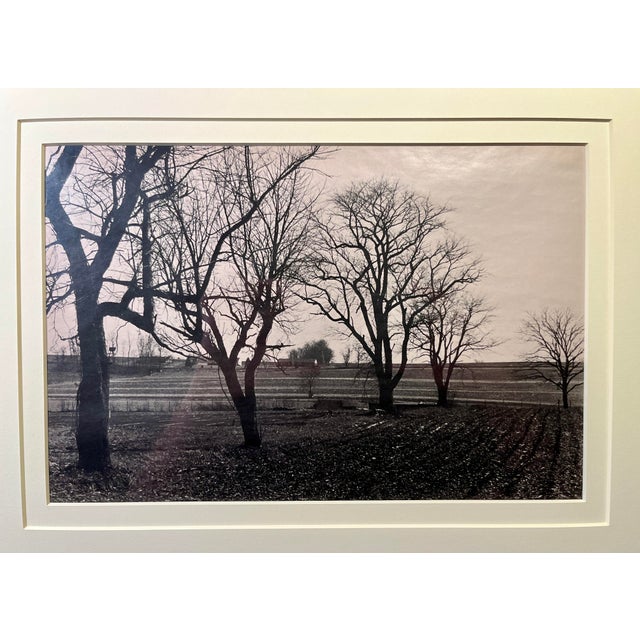 RARE 1992 Tony Marshall Fine Art Photo Print Framed & Matted With Glass Signed Aprox. dimensions: Frame: 19.5" x 15.5"...