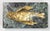 Metal 19th Century French Gilt Bronze Wounded Sparrow Bird, After Comolera For Sale - Image 7 of 9