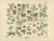 M. Fünfstück, German Wildflower Botanical Plates, 1890s, Chromolithographs, Set of 4 For Sale - Image 6 of 9