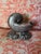 Silver Silver Plate Nautilus Spoon Warmer For Sale - Image 8 of 10