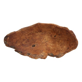Large Organic Wood Root Bowl, France, 1950s For Sale