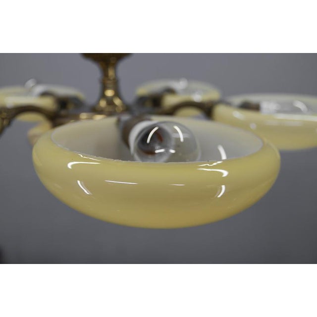Art Nouveau Six-Light Brass Chandelier by Jencik, Czechoslovakia, 1920s For Sale - Image 9 of 17