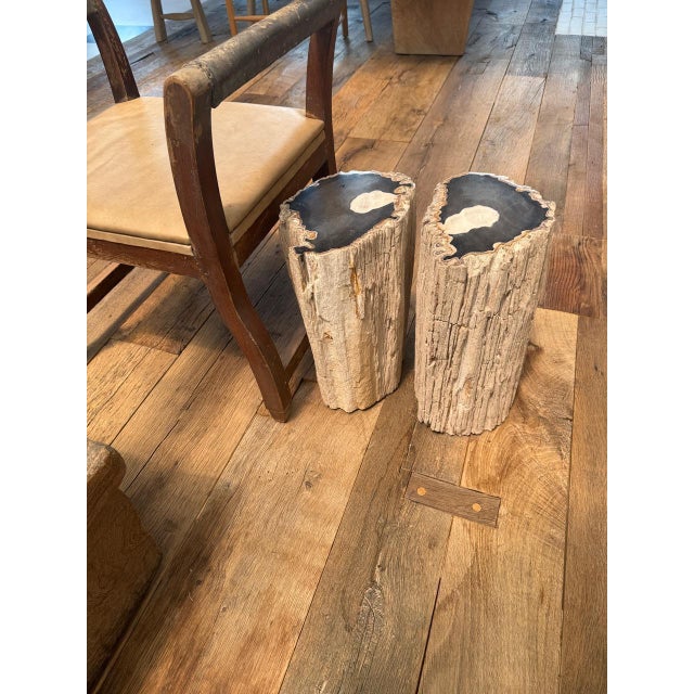 2010s Andrianna Shamaris Abstract High Quality Petrified Wood Side Table For Sale - Image 5 of 18