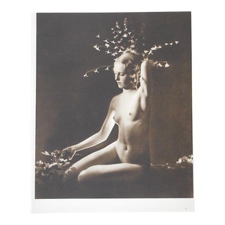 Vintage Art Deco Nude Photogravure For Sale