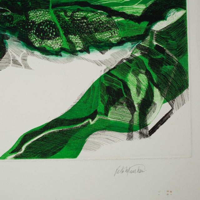 ABOUT A midcentury etching with color aquatint on wove paper entitled Great Glen that depicts an abstract meadow. Signed...