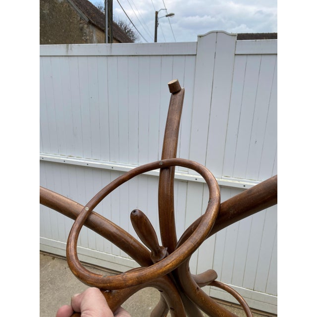 Baumann Bistro Swivel Parrot Coat Rack in Curved Wood, 1960s For Sale - Image 13 of 15