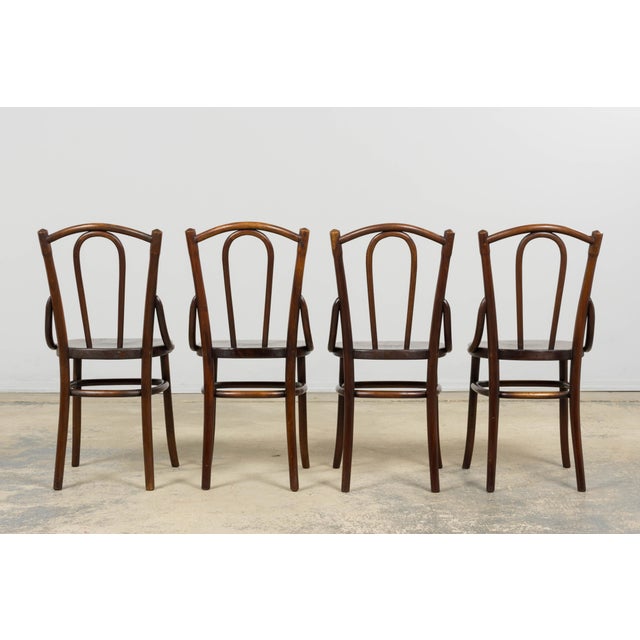 Set of 4 French Bentwood Bistro Dining Chairs, Provence, Mid-20th Century For Sale - Image 18 of 18