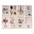 Oversized Antique French Herbarium Specimens – Set of 8 | Original 19th Century Pressed Botanical Collection From Paris For Sale