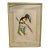 Original Mid-19th-Century John Gould “Pteroglossus Poecilosternus” Hand-Colored Toucan Lithograph For Sale